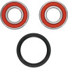 Pivot Works Gas-Gas, Husqvarna Wheel Bearing Kit Premium Bearings - 25-1417-P Photo - Primary