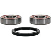 Pivot Works Gas-Gas, Husqvarna Wheel Bearing Kit Premium Bearings - 25-1417-P Photo - Primary