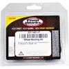 Pivot Works Honda Wheel Bearing Kit Premium Bearings - 25-1421-P Photo - Primary
