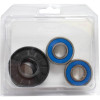 Pivot Works Honda Wheel Bearing Kit Premium Bearings - 25-1421-P Photo - Primary
