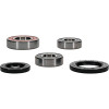 Pivot Works Kawasaki, Triumph, Yamaha Wheel Bearing Kit Premium Bearings - 25-1449-P Photo - Primary