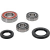 Pivot Works Kawasaki, Triumph, Yamaha Wheel Bearing Kit Premium Bearings - 25-1449-P Photo - Primary
