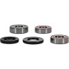 Pivot Works Gas-Gas Wheel Bearing Kit Premium Bearings - 25-1457-P Photo - Primary