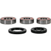 Pivot Works Gas-Gas, Rieju Wheel Bearing Kit Premium Bearings - 25-1458-P Photo - Primary