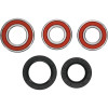 Pivot Works Gas-Gas, Rieju Wheel Bearing Kit Premium Bearings - 25-1458-P Photo - Primary