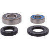 Pivot Works Polaris Wheel Bearing Kit Premium Bearings - 25-1541-P Photo - Primary