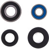 Pivot Works Polaris Wheel Bearing Kit Premium Bearings - 25-1541-P Photo - Primary