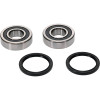 Pivot Works TM Wheel Bearing Kit Premium Bearings - 25-1548-P Photo - Primary