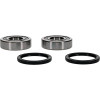 Pivot Works TM Wheel Bearing Kit Premium Bearings - 25-1548-P Photo - Primary