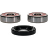 Pivot Works Honda Wheel Bearing Kit Premium Bearings - 25-1554-P Photo - Primary