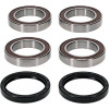Pivot Works Can-Am Wheel Bearing Kit Premium Bearings - 25-1565-P Photo - Primary