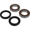 Pivot Works Aprilia Wheel Bearing Kit Premium Bearings - 25-1570-P Photo - Primary