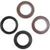 Pivot Works Aprilia Wheel Bearing Kit Premium Bearings - 25-1570-P Photo - Primary