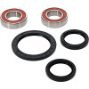 Pivot Works Triumph Wheel Bearing Kit Premium Bearings - 25-1584-P Photo - Primary