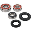 Pivot Works Aprilia, Triumph Wheel Bearing Kit Premium Bearings - 25-1586-P Photo - Primary