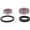 Pivot Works Honda Wheel Bearing Kit Premium Bearings - 25-1602-P Photo - Primary