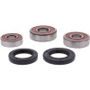 Pivot Works Honda Wheel Bearing Kit Premium Bearings - 25-1603-P Photo - Primary