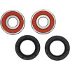 Pivot Works Honda, Yamaha Wheel Bearing Kit Premium Bearings - 25-1640-P Photo - Primary
