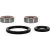 Pivot Works Honda, Kymco, Suzuki Wheel Bearing Kit Premium Bearings - 25-1644-P Photo - Primary