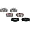 Pivot Works BMW Wheel Bearing Kit Premium Bearings - 25-1646-P Photo - Primary