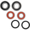 Pivot Works BMW Wheel Bearing Kit Premium Bearings - 25-1646-P Photo - Primary