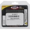 Pivot Works BMW Wheel Bearing Kit Premium Bearings - 25-1647-P Photo - Primary