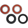 Pivot Works BMW Wheel Bearing Kit Premium Bearings - 25-1648-P Photo - Primary