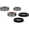 Pivot Works Aprilia, BMW Wheel Bearing Kit Premium Bearings - 25-1650-P Photo - Primary