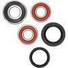 Pivot Works Aprilia, BMW Wheel Bearing Kit Premium Bearings - 25-1650-P Photo - Primary