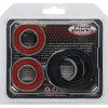 Pivot Works Aprilia, BMW Wheel Bearing Kit Premium Bearings - 25-1650-P Photo - Primary