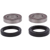 Pivot Works Husqvarna Wheel Bearing Kit Premium Bearings - 25-1661-P Photo - Primary