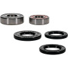 Pivot Works Polaris Wheel Bearing Kit Premium Bearings - 25-1665-P Photo - Primary