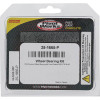 Pivot Works Polaris Wheel Bearing Kit Premium Bearings - 25-1665-P Photo - Primary