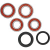 Pivot Works BMW Wheel Bearing Kit Premium Bearings - 25-1672-P Photo - Primary