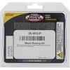 Pivot Works BMW Wheel Bearing Kit Premium Bearings - 25-1672-P Photo - Primary