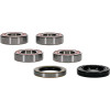 Pivot Works BMW Wheel Bearing Kit Premium Bearings - 25-1673-P Photo - Primary