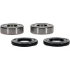 Pivot Works BMW Wheel Bearing Kit Premium Bearings - 25-1678-P Photo - Primary