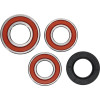 Pivot Works Gas-Gas, Husqvarna, KTM Wheel Bearing Kit Premium Bearings - 25-1706-P Photo - Primary