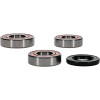 Pivot Works Gas-Gas, Husqvarna, KTM Wheel Bearing Kit Premium Bearings - 25-1706-P Photo - Primary