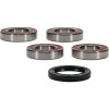 Pivot Works Ducati Wheel Bearing Kit Premium Bearings - 25-1707-P Photo - Primary