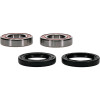 Pivot Works Yamaha Wheel Bearing Kit Premium Bearings - 25-1726-P Photo - Primary