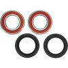 Pivot Works Odes Wheel Bearing Kit Premium Bearings - 25-1733-P Photo - Primary