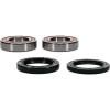 Pivot Works Odes Wheel Bearing Kit Premium Bearings - 25-1733-P Photo - Primary