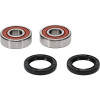 Pivot Works Kawasaki, Yamaha Wheel Bearing Kit Premium Bearings - 25-1736-P Photo - Primary