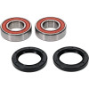 Pivot Works Can-Am Wheel Bearing Kit Premium Bearings - 25-1738-P Photo - Primary