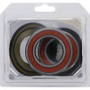 Pivot Works Kubota Wheel Bearing Kit Premium Bearings - 25-1739-P Photo - Primary