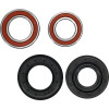 Pivot Works Kubota Wheel Bearing Kit Premium Bearings - 25-1739-P Photo - Primary