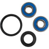 Pivot Works Kawasaki Wheel Bearing Kit Premium Bearings - 25-1744-P Photo - Primary