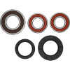 Pivot Works Suzuki Wheel Bearing Kit Premium Bearings - 25-1749-P Photo - Primary