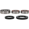 Pivot Works Suzuki Wheel Bearing Kit Premium Bearings - 25-1749-P Photo - Primary
